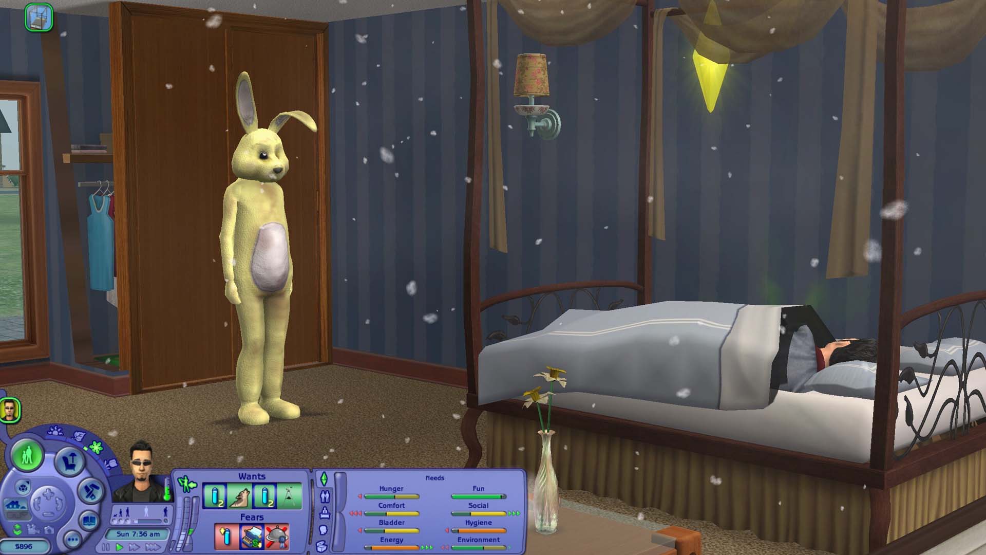 The Sims