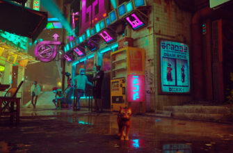 The Stray