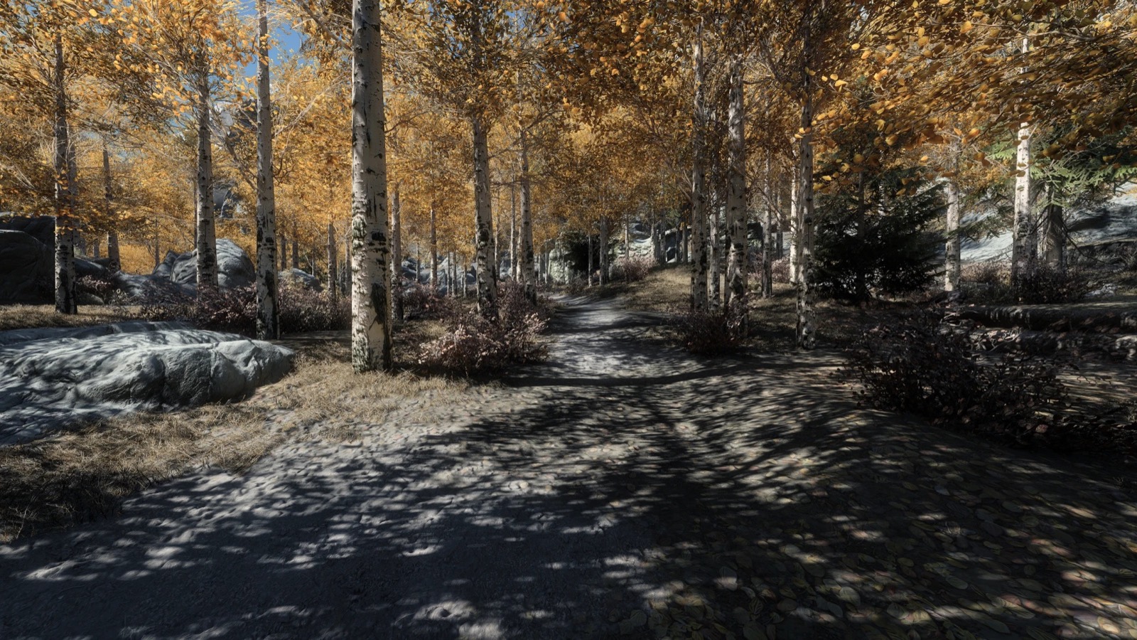 Лесная дорога в Skyrim с обновлённым освещением