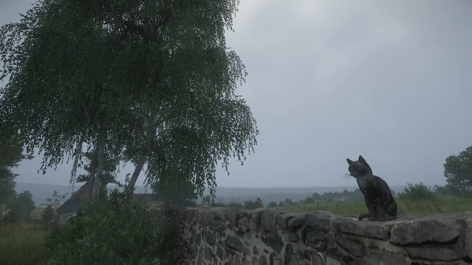 Собака на каменной ограде в Kingdom Come: Deliverance II